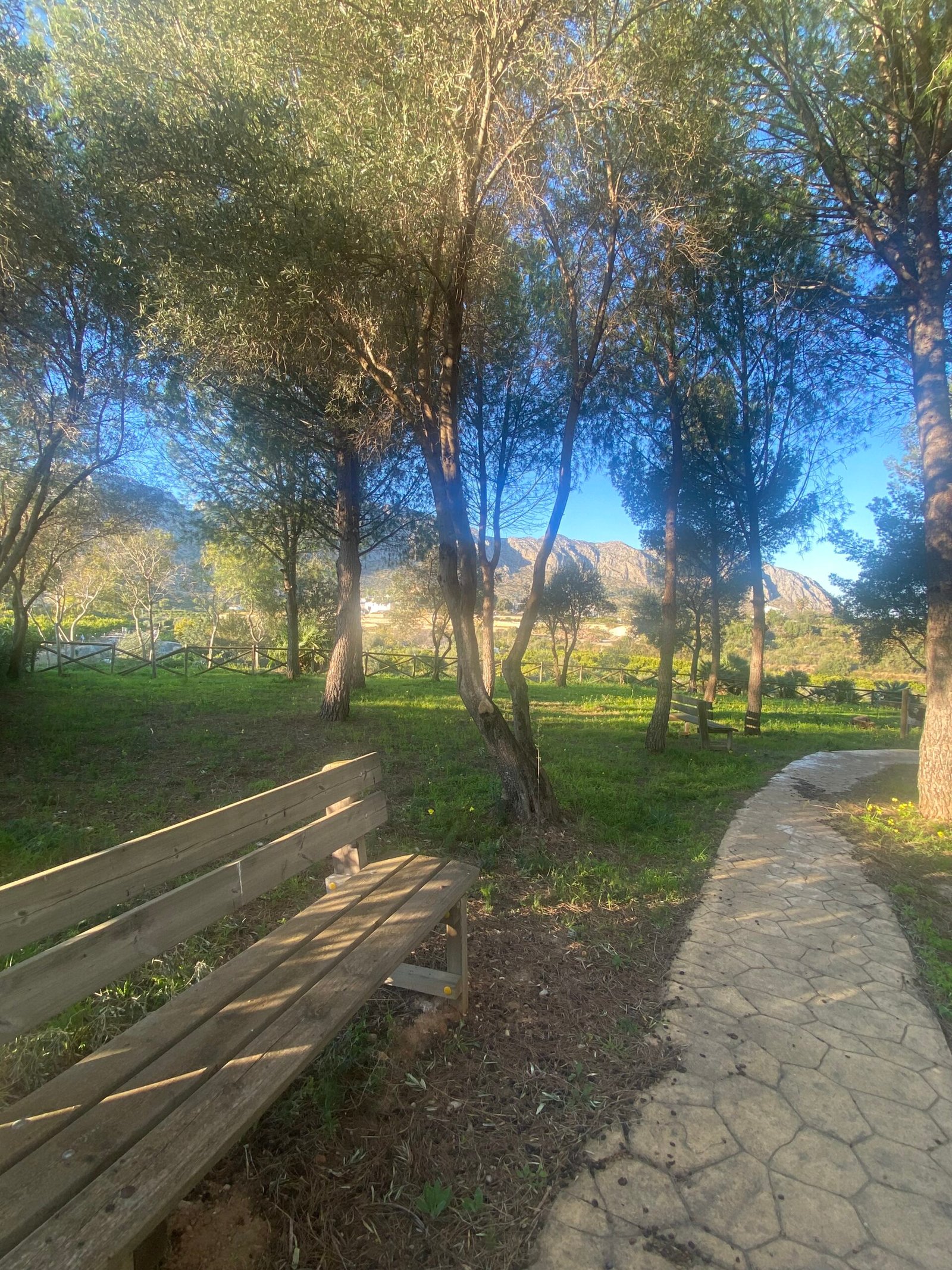 Zona verde 