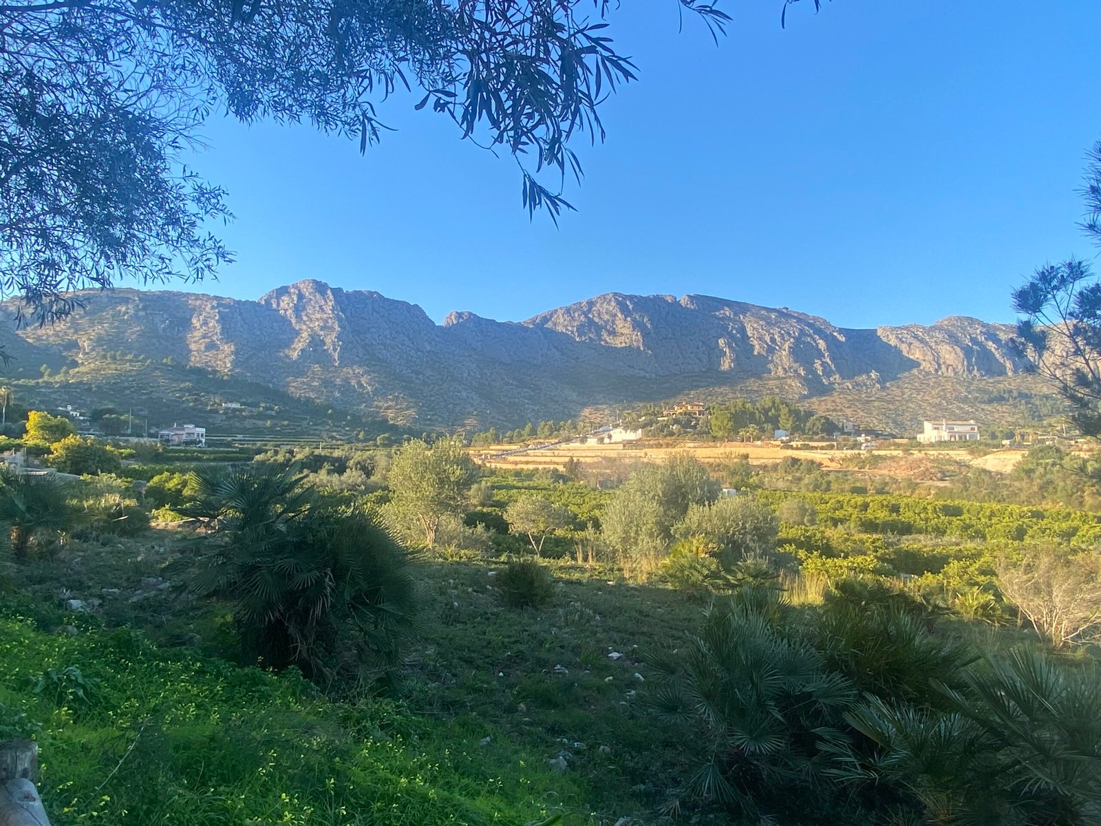 Segaria desde 
