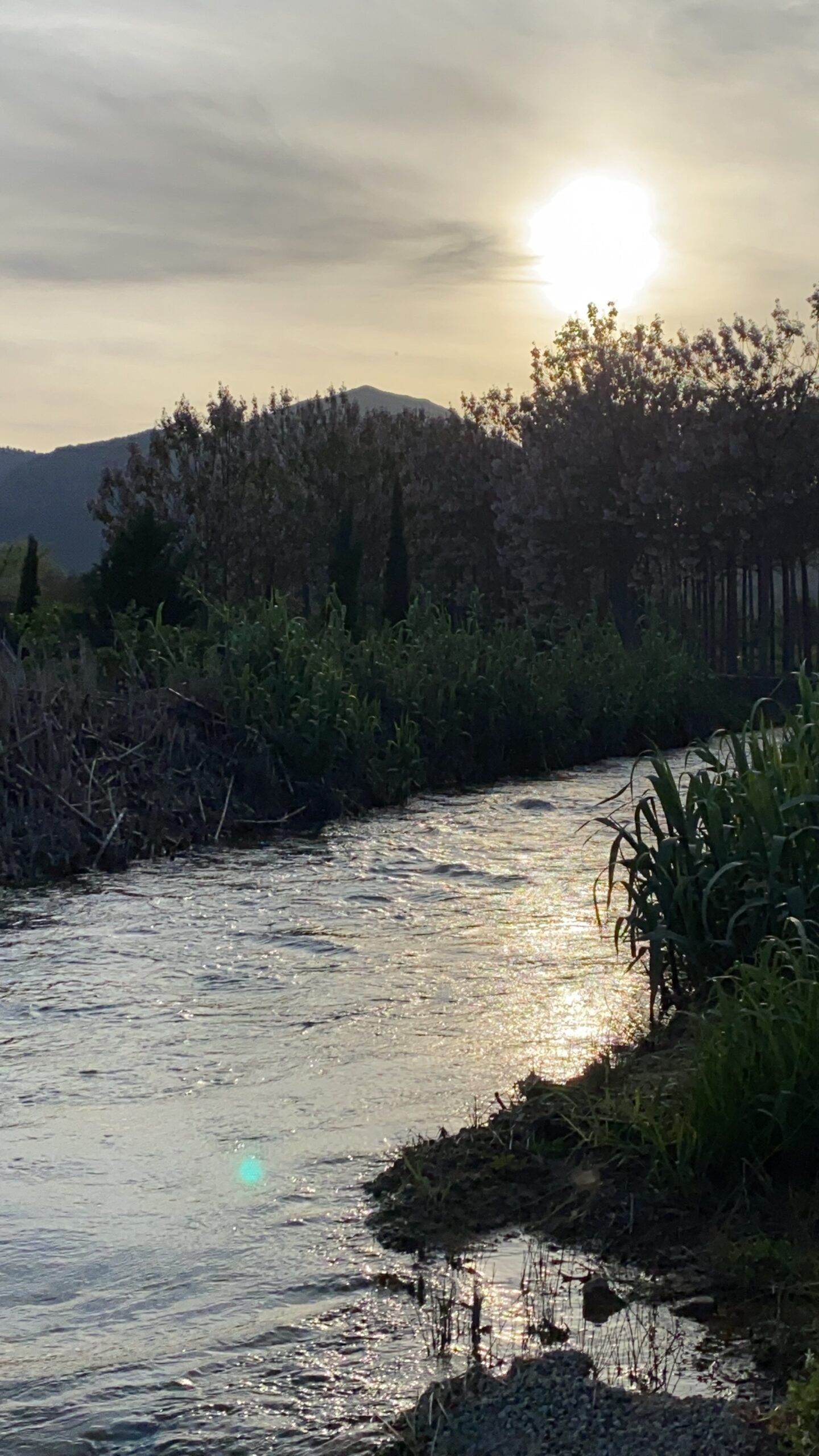 La Bolata con agua